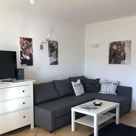 Ferienwohnung Aigisblick Mit Pool Und Sauna, Direkt Am Skihang 米森-维尔哈姆斯 外观 照片