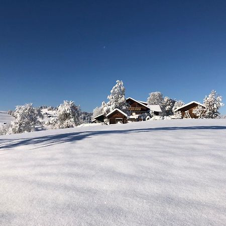 Ferienwohnung Aigisblick Mit Pool Und Sauna, Direkt Am Skihang 米森-维尔哈姆斯 外观 照片