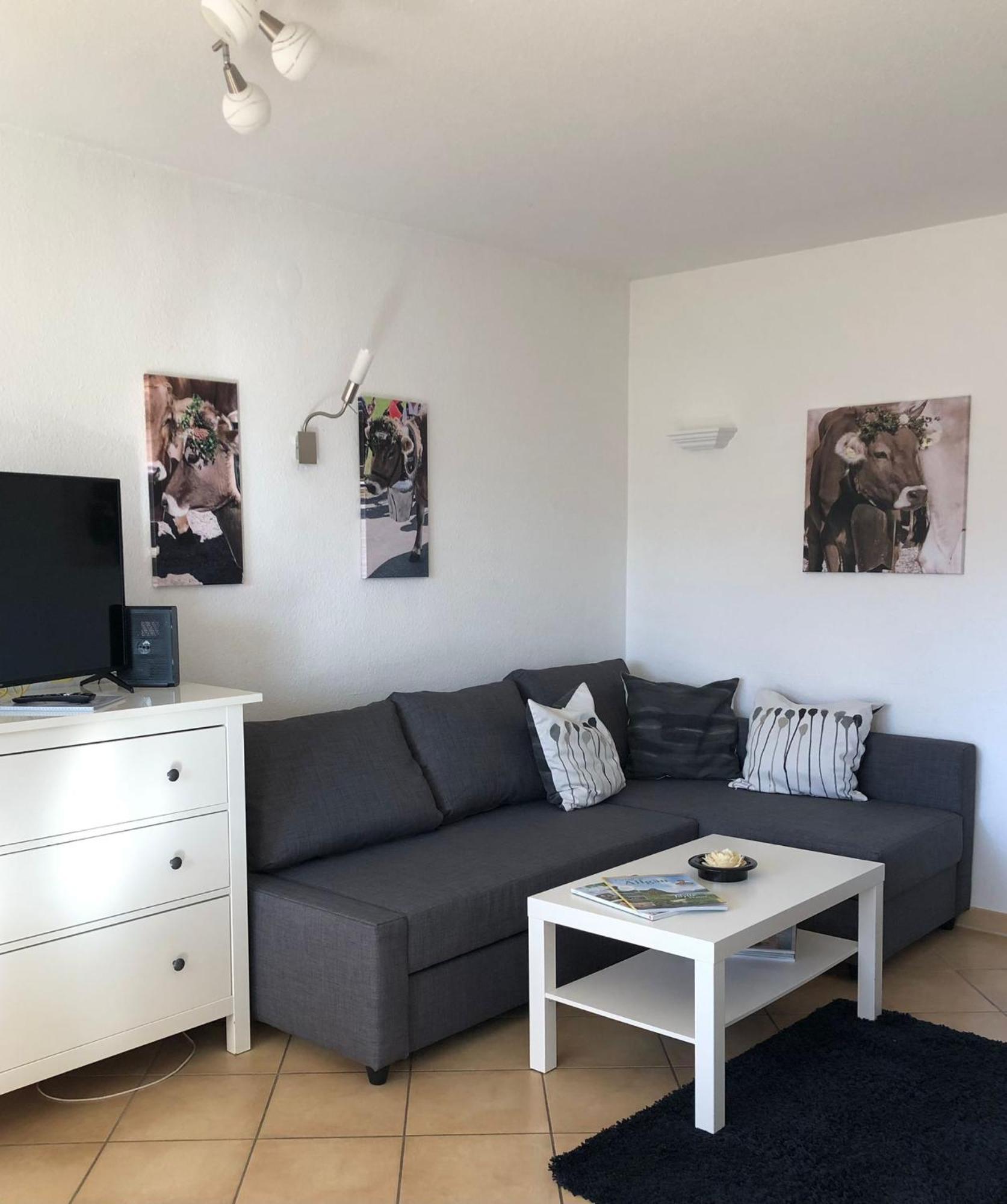 Ferienwohnung Aigisblick Mit Pool Und Sauna, Direkt Am Skihang 米森-维尔哈姆斯 外观 照片