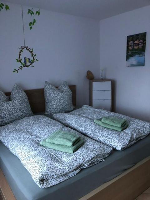 Ferienwohnung Aigisblick Mit Pool Und Sauna, Direkt Am Skihang 米森-维尔哈姆斯 外观 照片
