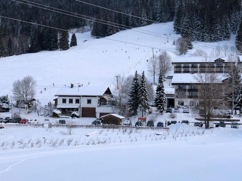 Ferienwohnung Aigisblick Mit Pool Und Sauna, Direkt Am Skihang 米森-维尔哈姆斯 外观 照片