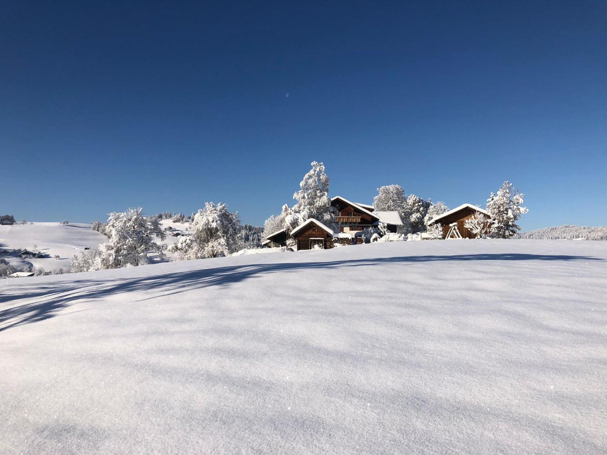Ferienwohnung Aigisblick Mit Pool Und Sauna, Direkt Am Skihang 米森-维尔哈姆斯 外观 照片